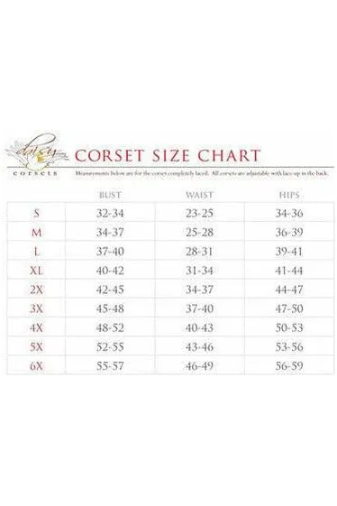 Lavish 4 PC Sexy Gothic Devil Corset Costume